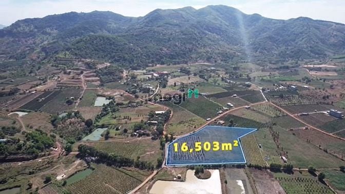 Hình ảnh 👉 Hiếm, bán đất ODT, Góc 3 Mặt Tiền-16.503M2-Tân Nghĩa Hàm Tân Bình T