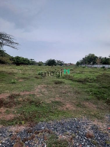 Hình ảnh Đất Tân Hiệp-Hóc Môn-4900m2ful TC Giá chỉ Nhỉnh 9tr1m