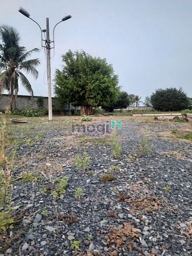 Hình ảnh Đất Tân Hiệp-Hóc Môn-4900m2ful TC Giá chỉ Nhỉnh 9tr1m