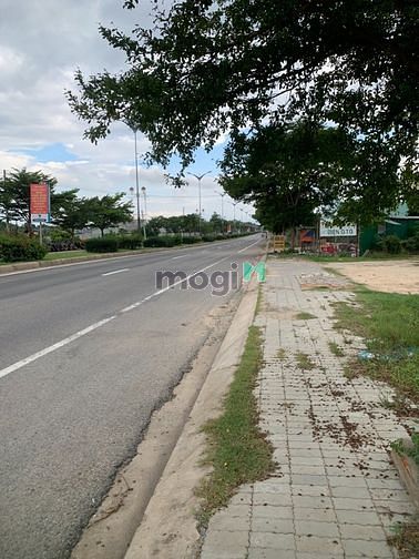 Hình ảnh Đất lúa mặt tiền Lê Duẩn QL1A 474m2 dg nhựa 54m