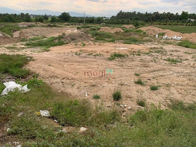Hình ảnh Đất lúa mặt tiền Lê Duẩn QL1A 474m2 dg nhựa 54m
