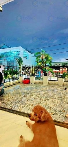 Hình ảnh Bán Nhà Âu Cơ, phường 10, Tân Bình. SHR. DT 45.6m2