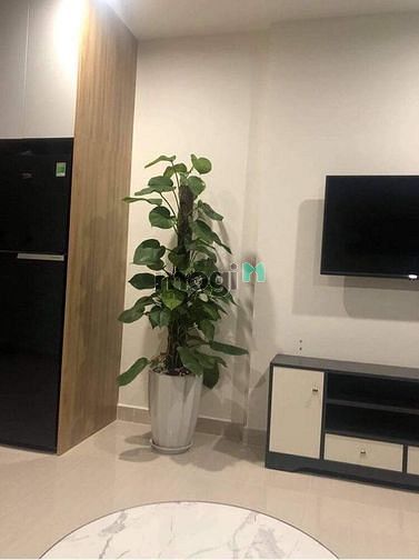 Hình ảnh Cho thuê Trang Chủ MB66.COM / Đăng Ký Tặng 66K 2PN - VINHOMES OCEAN PARK