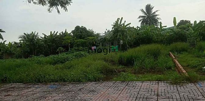 Hình ảnh KẸT TIỀN BÁN NHANH đất thổ MT đường Long Cang