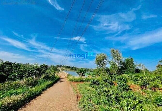 Hình ảnh Cần Ra Lô Đất View Hồ Trà Đa - Ngay KCN Trà Đa -Tp.Pleiku - Gia Lai