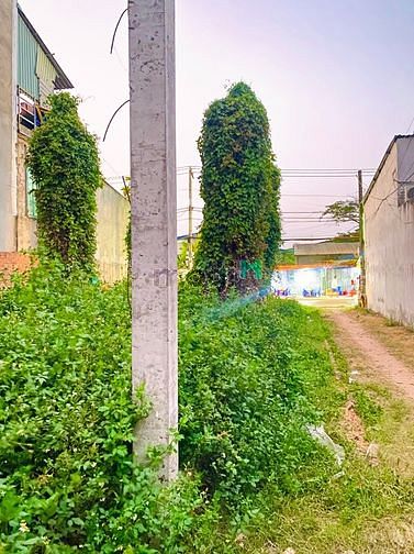Hình ảnh Gấp bán đất mặt tiền QL1A - Sinco, Bình Tân,173m2, ngang 7.5m, giá rẻ