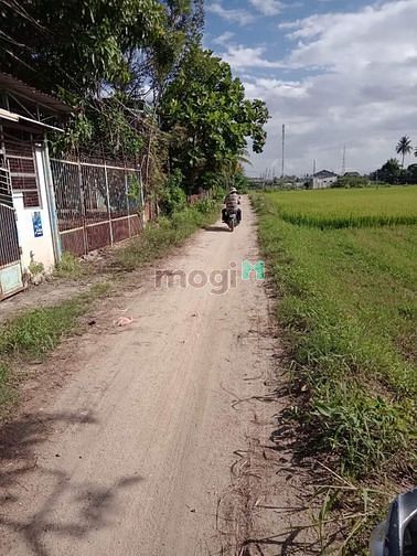 Hình ảnh Kẹt tiền bán gấp lô đất lúa 883m2 hẽm Trương Định