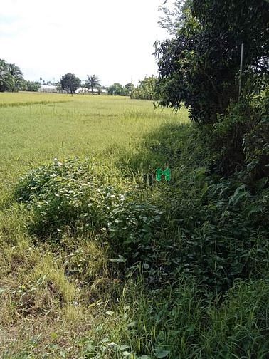Hình ảnh Kẹt tiền bán gấp lô đất lúa 883m2 hẽm Trương Định