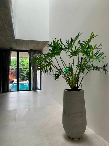 Hình ảnh Bán villa style hiện đại mới đẹp