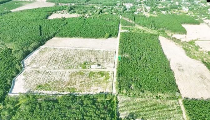 Hình ảnh Siêu Phẩm Lô Đất 3.9 Ha phủ hồng 100% gần các KCN !!! có sẵn 200m2 thổ