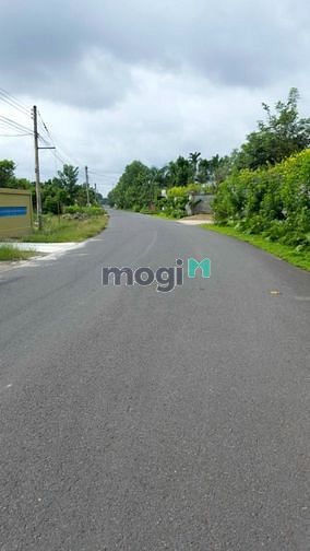 Hình ảnh Cần bán lô đất tại Thạnh Bình - Tân Biên - Tây Ninh