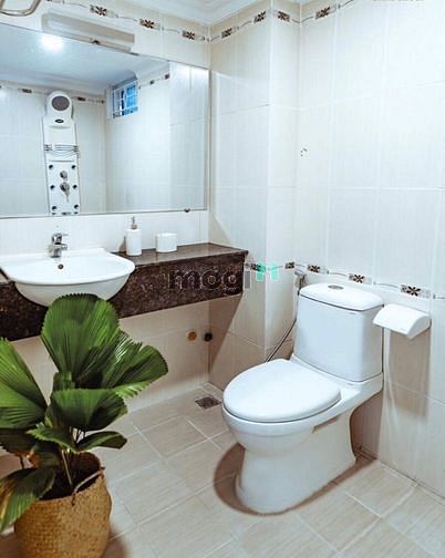 Hình ảnh Cho thuê chung cư Cống Quỳnh Quận 1 gần Lý Thái Tổ_Lê Thị Riêng