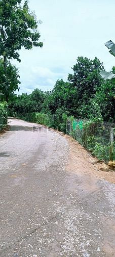 Hình ảnh Tôi cần bán sào đất vị trí đẹp cách QL20 5 phút, UBND, chợ Phú Túc