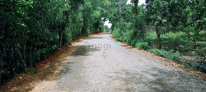Hình ảnh Tôi cần bán sào đất vị trí đẹp cách QL20 5 phút, UBND, chợ Phú Túc
