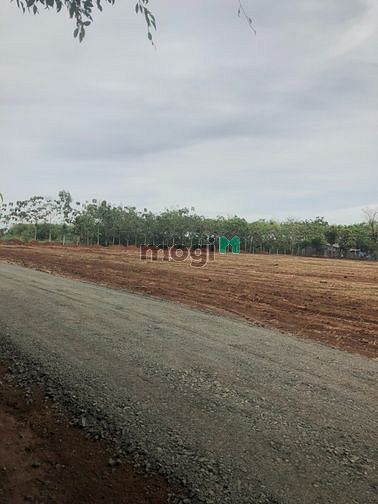 Hình ảnh đất bình phước gần khu công nghiệp cách QL 13 300M