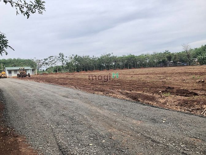 Hình ảnh đất bình phước gần khu công nghiệp cách QL 13 300M