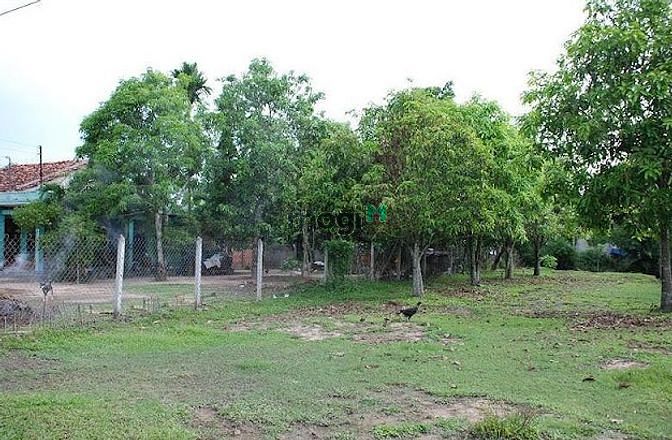 Hình ảnh Đất dân có thổ cư sẵn 1140m2, Chỉ 1.65 tỷ, Cẩm Mỹ, Đồng Nai