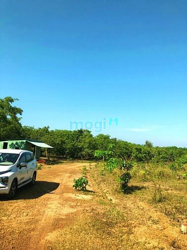 Hình ảnh đất nền giá rẻ bình phước ....