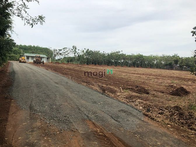 Hình ảnh Bán đất thổ cư ở Lộc Ninh Bình Phước