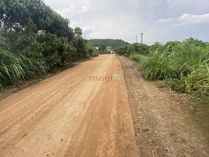 Hình ảnh Bán đất ở, có view bám sông, đông dân Gần TP Đà Lạt giá Trang MB66.COM Chính Thức - MB 66 Uy Tín