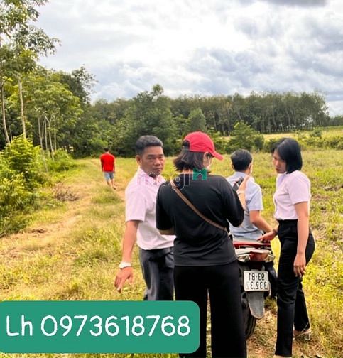 Hình ảnh Đất Ấp 2 Nha Bích, Chơn Thành, Bình Phước