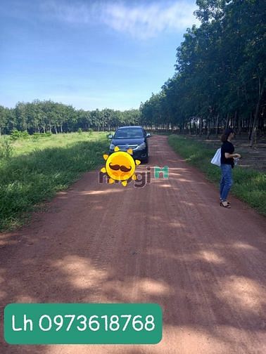 Hình ảnh Đất Ấp 2 Nha Bích, Chơn Thành, Bình Phước