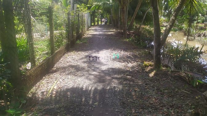 Hình ảnh Bán đất 1904m2 CLN, trên đất có 100m2 ODT (chỉ 2tr/m2)