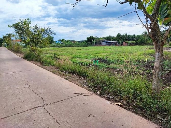 Hình ảnh Ra nhanh đất vườn 450 triệu Đồng Phú, Bình Phước