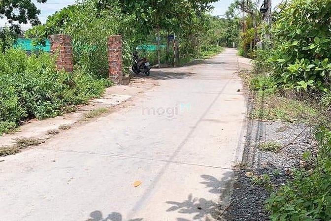 Hình ảnh Ra nhanh đất vườn 450 triệu Đồng Phú, Bình Phước