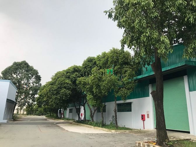 Hình ảnh Cho thuê Kho Tam Bình Thủ Đức 4300m2, cách 100m QL1A, đầy đủ tiện nghi
