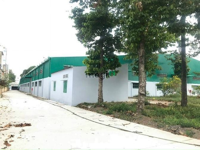 Hình ảnh Cho thuê Kho Tam Bình Thủ Đức 4300m2, cách 100m QL1A, đầy đủ tiện nghi