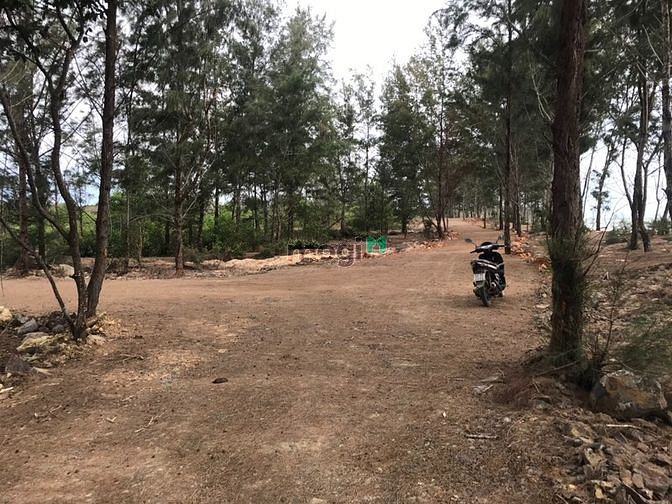 Hình ảnh Dự án sinh thái 26,5 Ha, Tân Thắng Bình Thuận 280 tỷ