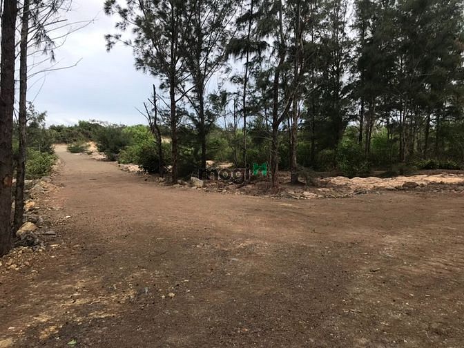Hình ảnh Dự án sinh thái 26,5 Ha, Tân Thắng Bình Thuận 280 tỷ