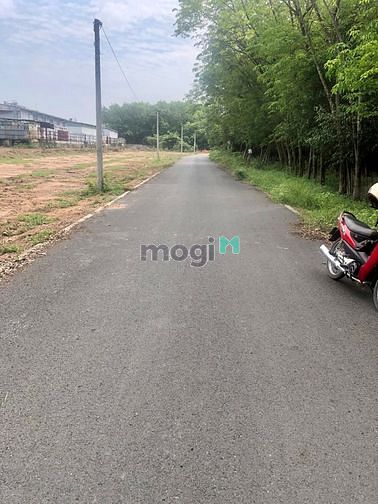 Hình ảnh #đât đẹp Bình Dương #đất ven khu công nghiệp #đất Trang MB66.COM Chính Thức - MB 66 Uy Tín #đất giá rẻ