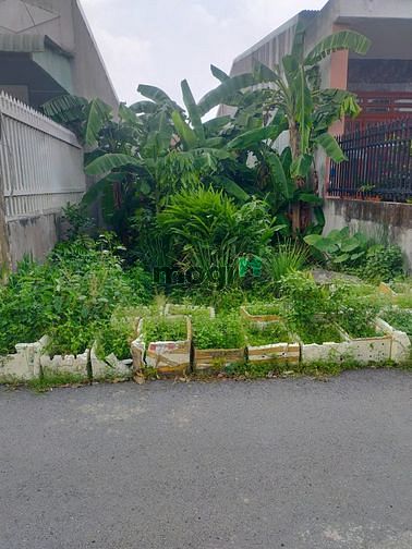 Hình ảnh Bán lô đất sổ riêng cực đẹp Phường Trảng Dài, Tp Biên Hòa