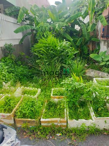 Hình ảnh Bán lô đất sổ riêng cực đẹp Phường Trảng Dài, Tp Biên Hòa