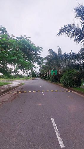Hình ảnh Bán lô đất nền giá rẻ View hồ sen