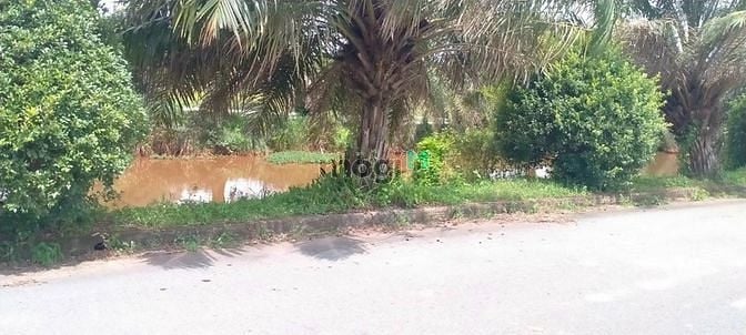 Hình ảnh Bán lô đất nền giá rẻ View hồ sen