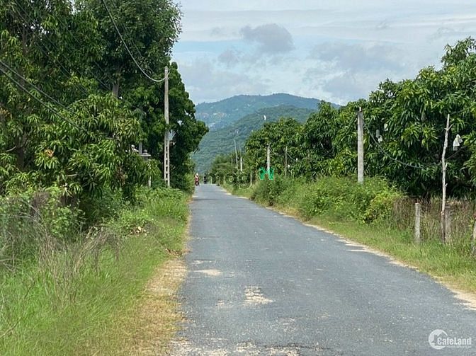 Hình ảnh Chính chủ cần bán gấp lô đất ở Tân Biên - Tây Ninh
