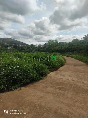 Hình ảnh Bán đát  Gia Lâm giá tốt nhất thị trường