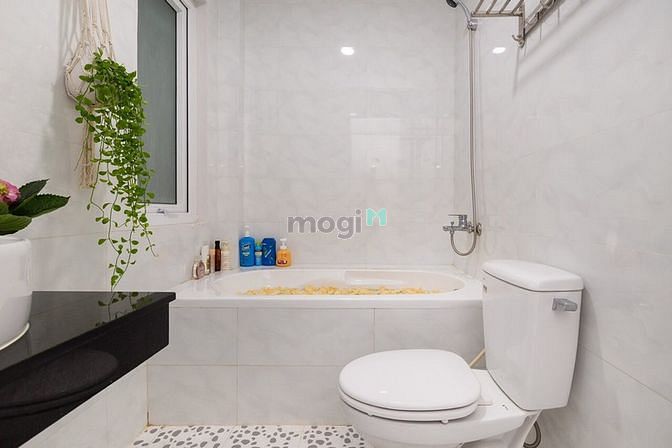 Hình ảnh Cho thuê CHDV chính chủ không qua môi giới