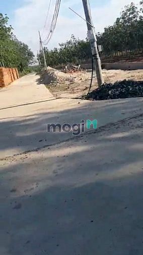Hình ảnh Đất vườn cần ra gấp giá 450 triệu ở Đồng Phú, Bình Phước