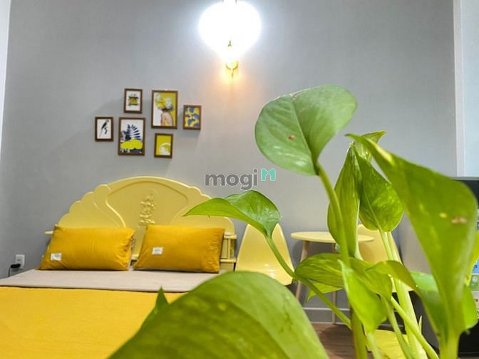 Hình ảnh FREE tất cả! Mb6623 nạp rút nhanh chóng Studio gần Hutech, Ngoại Thương, 7' đi UEF, HIU