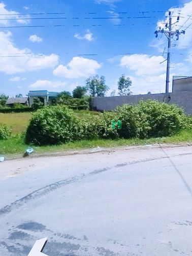 Hình ảnh Đất nền siêu hót, mở bán 30 lô đất nền liền kề gần chợ Bình Chánh55