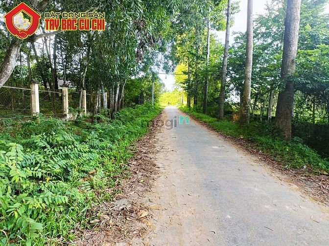 Hình ảnh Bán đất 1/ Quốc Lộ 22 - 346m2 - 6x58 - 285m2 thổ cư - xã Tân An Hội