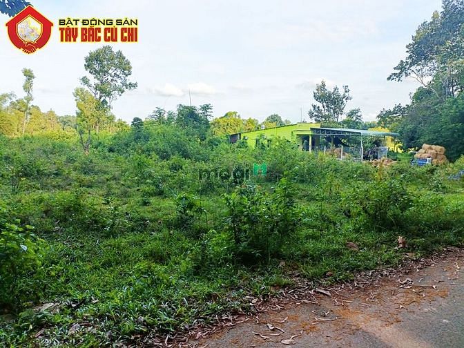 Hình ảnh Bán đất 1/ Quốc Lộ 22 - 346m2 - 6x58 - 285m2 thổ cư - xã Tân An Hội