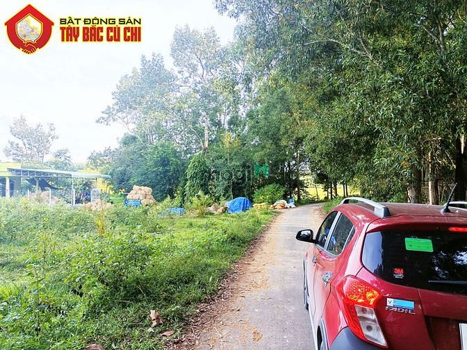 Hình ảnh Bán đất 1/ quốc lộ 22 - 1000m2 - 15.5x58 nở hậu 20m - 875m2 thổ cư -