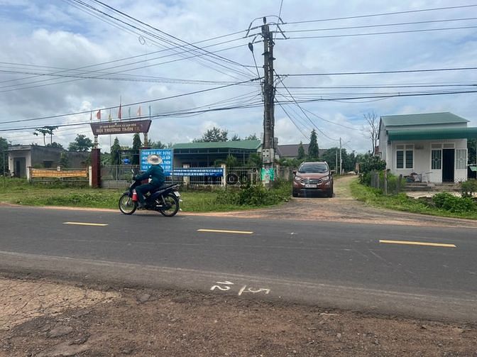 Hình ảnh 2 sào Tân Hòa Buôn Đôn, sổ Riêng giá chỉ 185 triệu