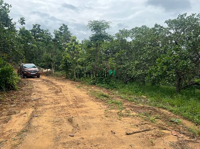 Hình ảnh 2 sào Tân Hòa Buôn Đôn, sổ Riêng giá chỉ 185 triệu