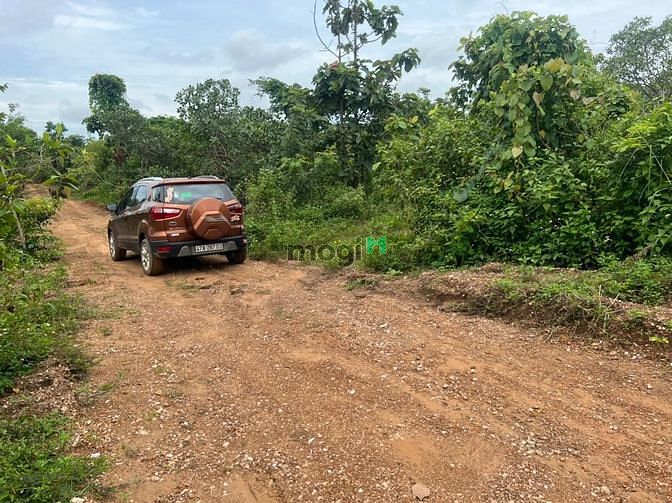 Hình ảnh 2 sào Tân Hòa Buôn Đôn, sổ Riêng giá chỉ 185 triệu